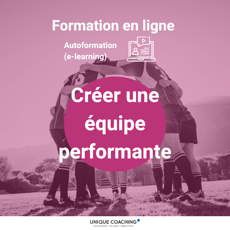 formation en ligne autoformation elearning créer une équipe performante titre (1)
