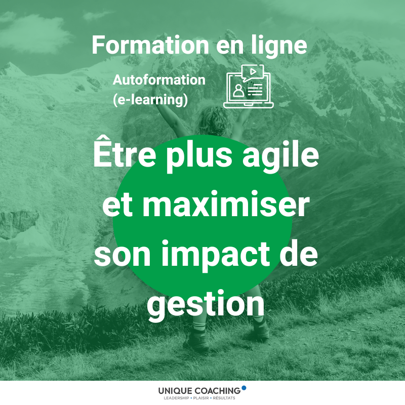 formation en ligne autoformation elearning être agile et maximiser son impact de gestion