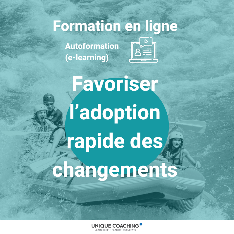formation en ligne autoformation elearning gestion du changement