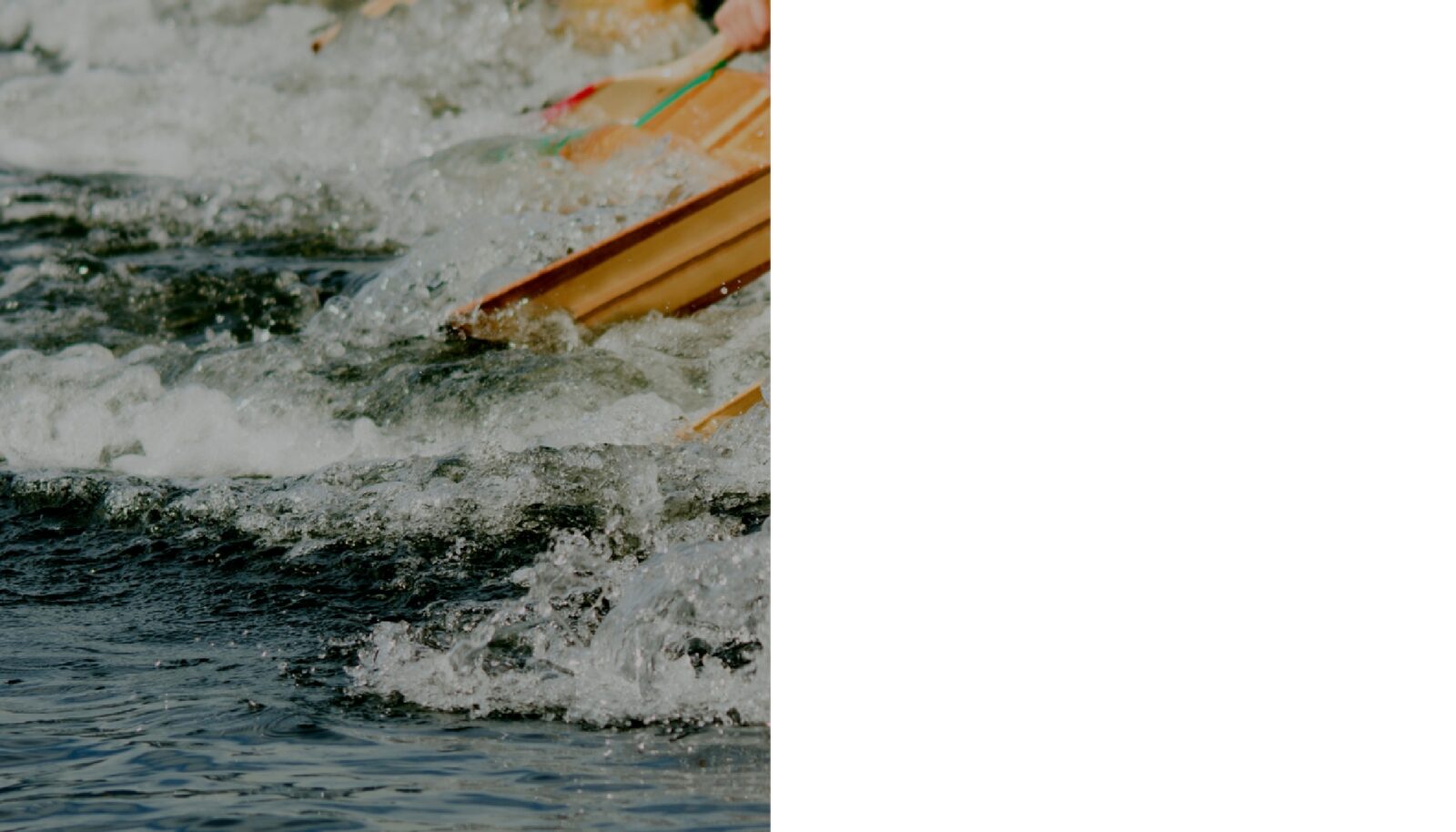 Is your team in solution mode and result-oriented?