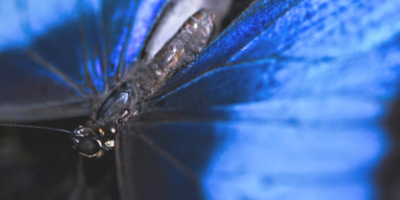 Have you heard of the butterfly effect?