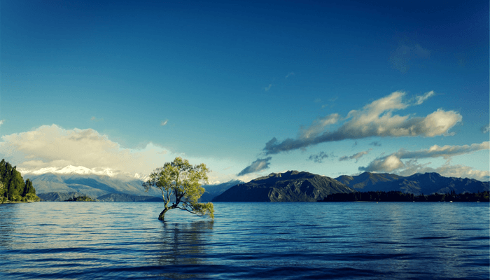 Making Peace with Conflict: The Benefits of Constructive Conflict