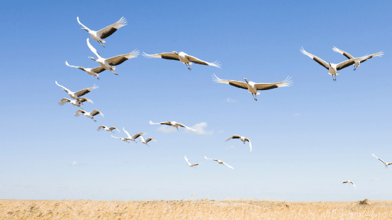 How much management time should I plan to create more autonomy?