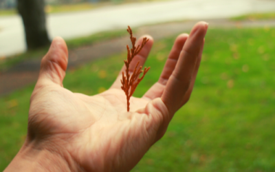 How to let go?