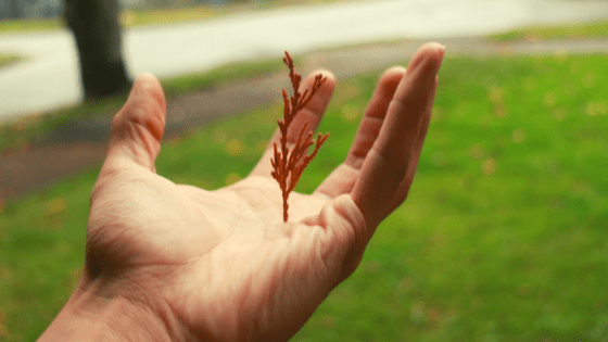 How to let go?