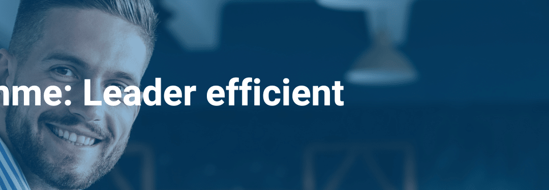 leader efficient bannière