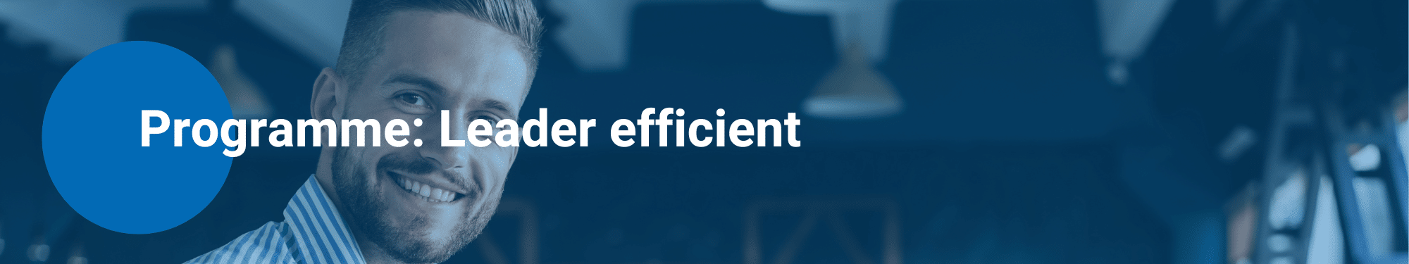leader efficient bannière