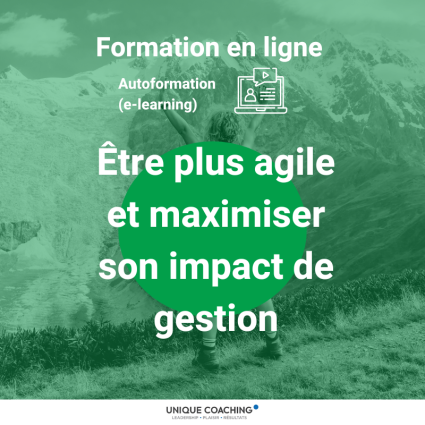 formation en ligne autoformation elearning être agile et maximiser son impact de gestion