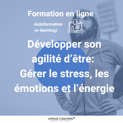 formation en ligne autoformation elearning stress émotion énergie (2)