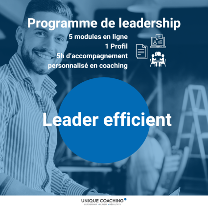 programme leader efficient woocommerce
